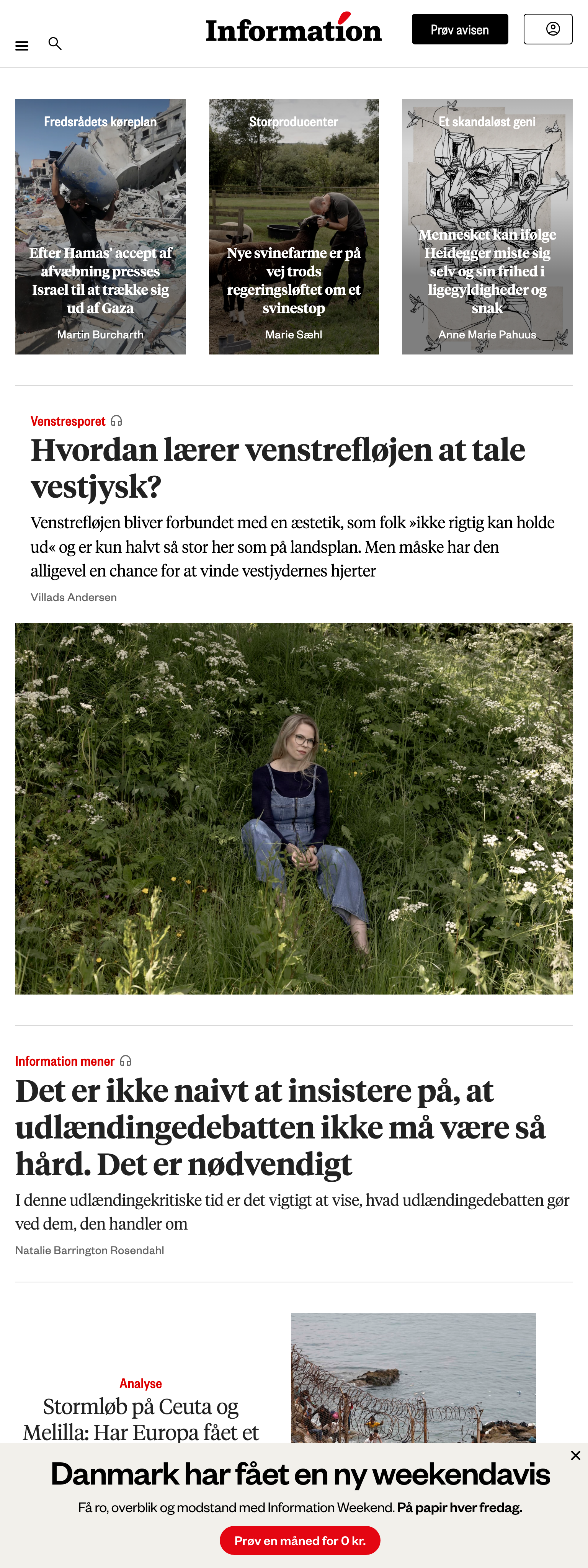 Screenshot of the Information front page