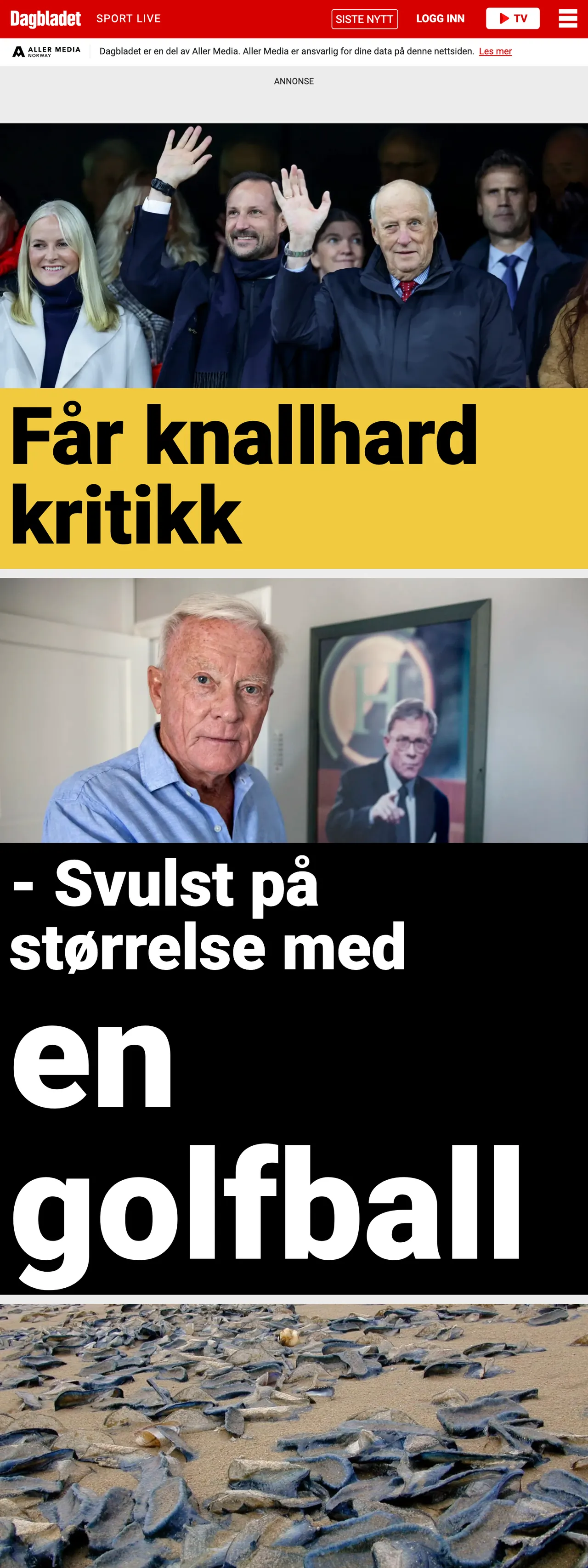 Screenshot of the Dagbladet front page