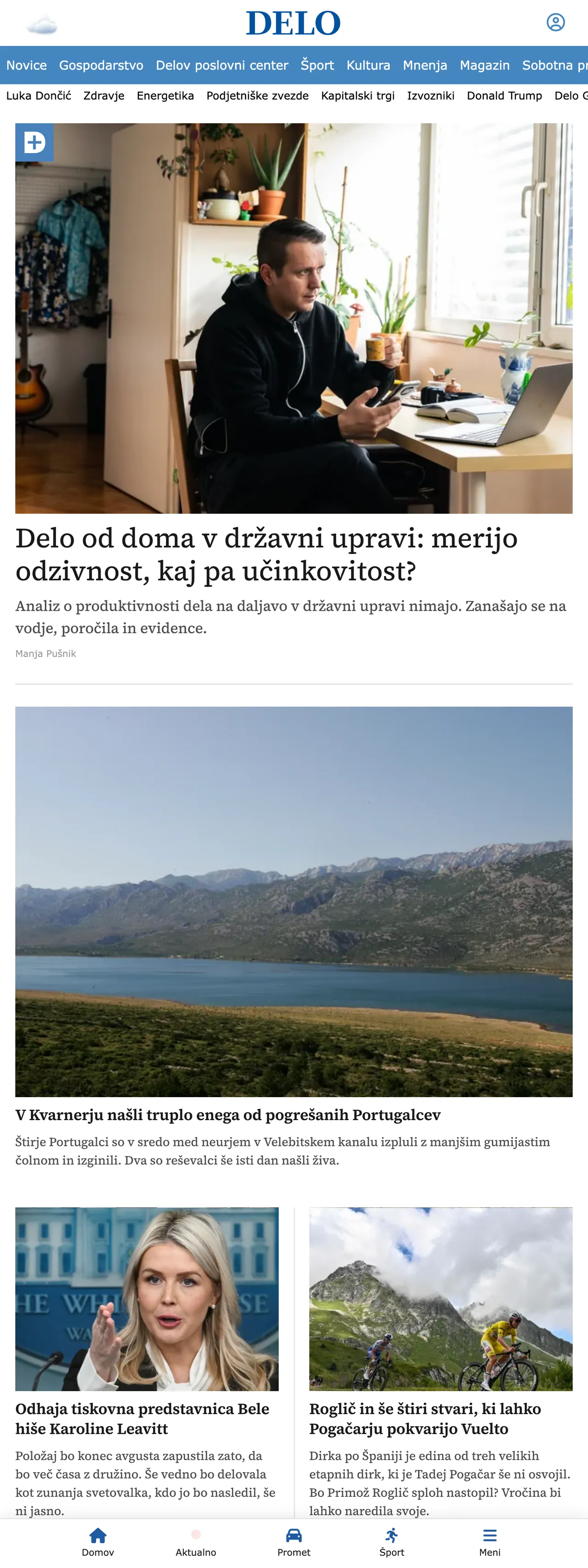 Screenshot of the Delo front page