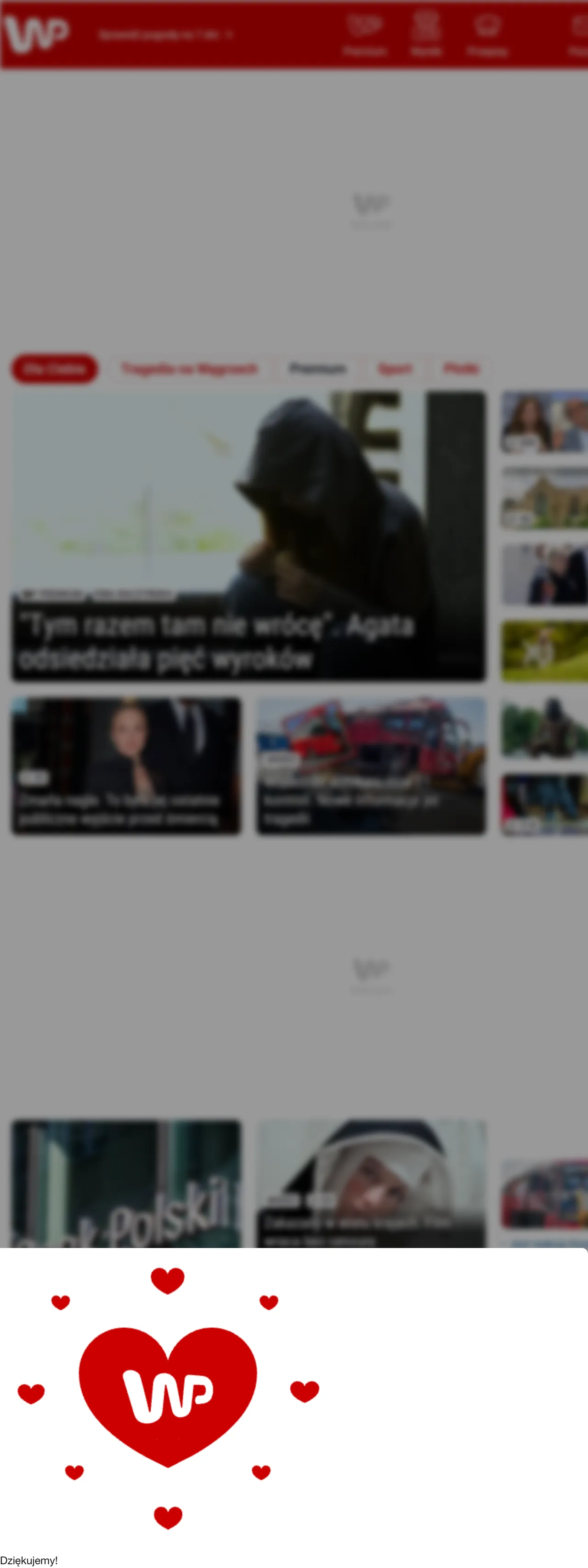 Screenshot of the Wirtualna Polska front page