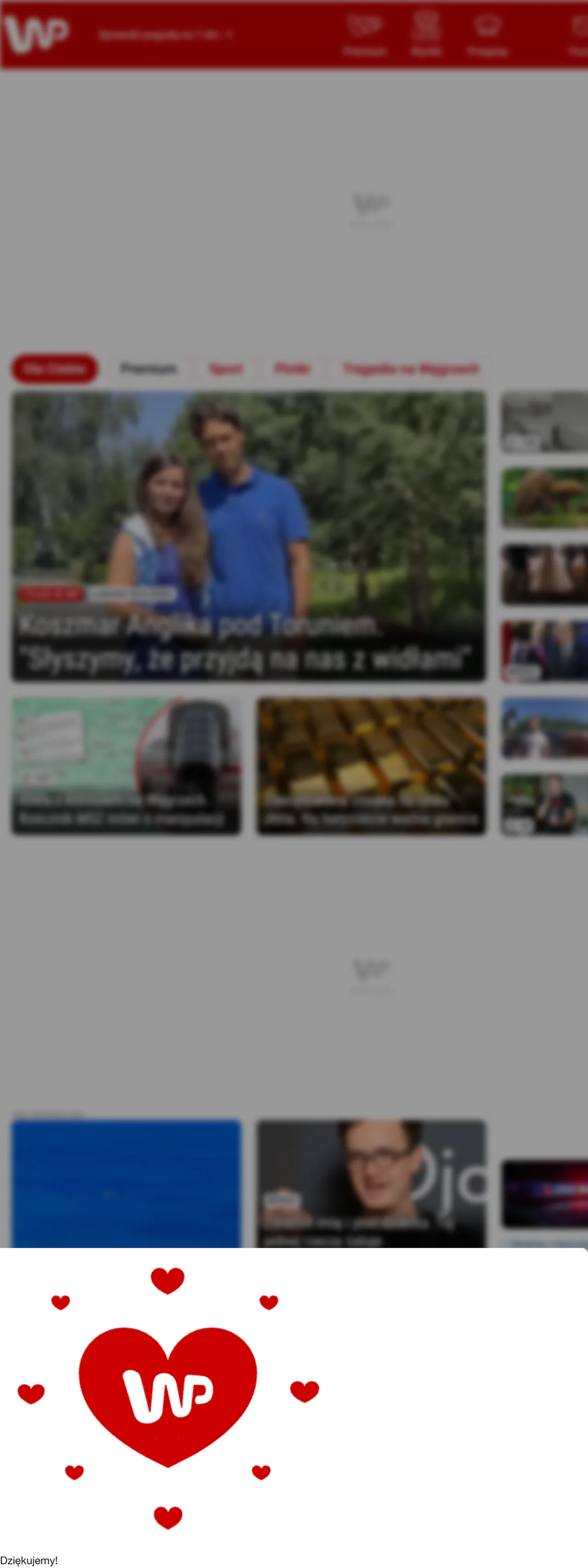 Screenshot of the Wirtualna Polska front page
