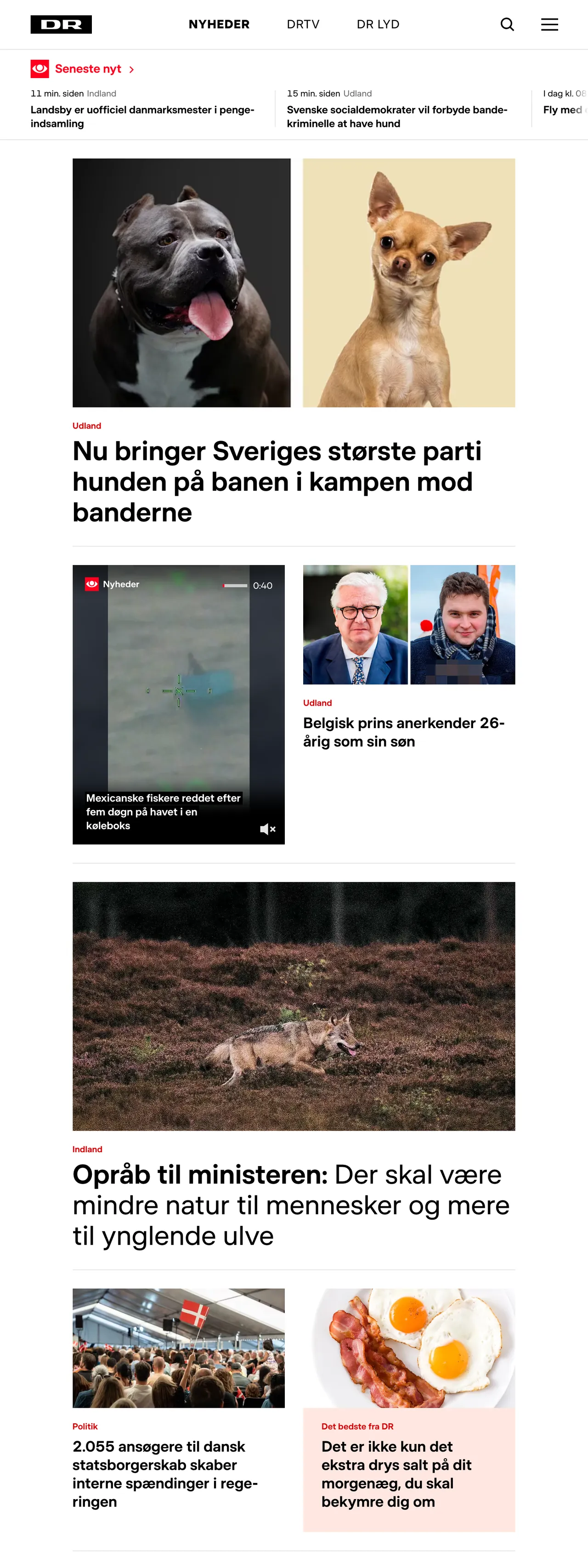 Screenshot of the DR front page