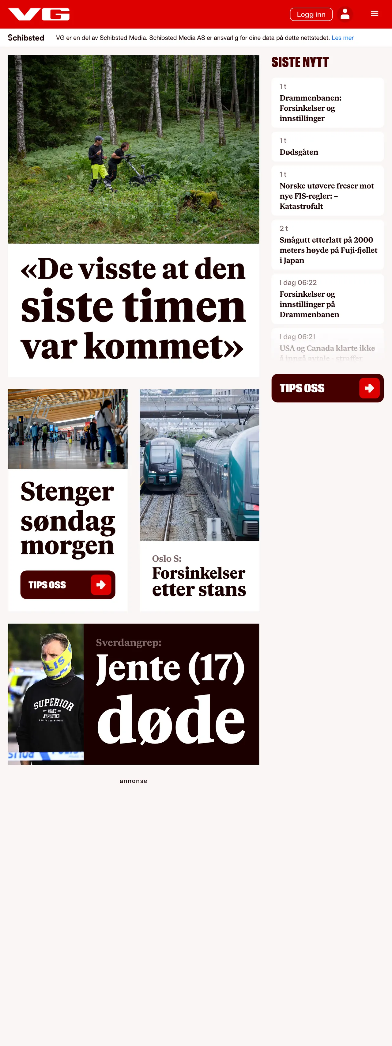 Screenshot of the VG front page