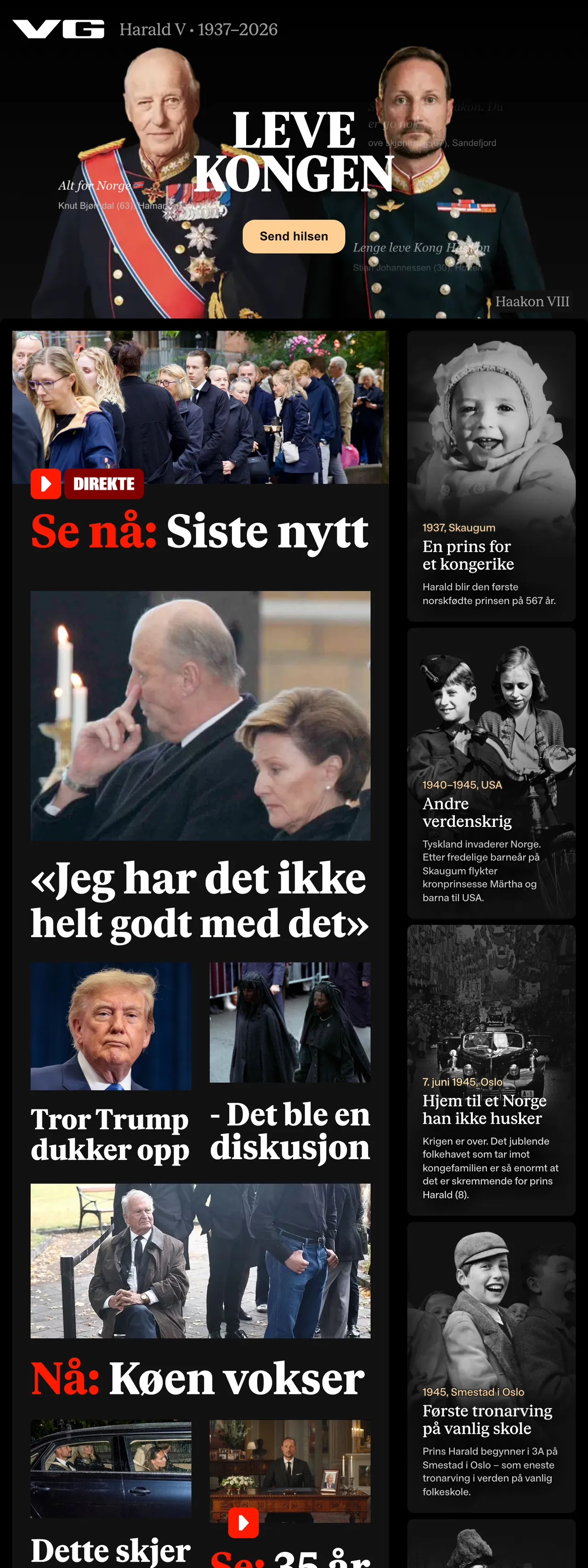 Screenshot of the VG front page