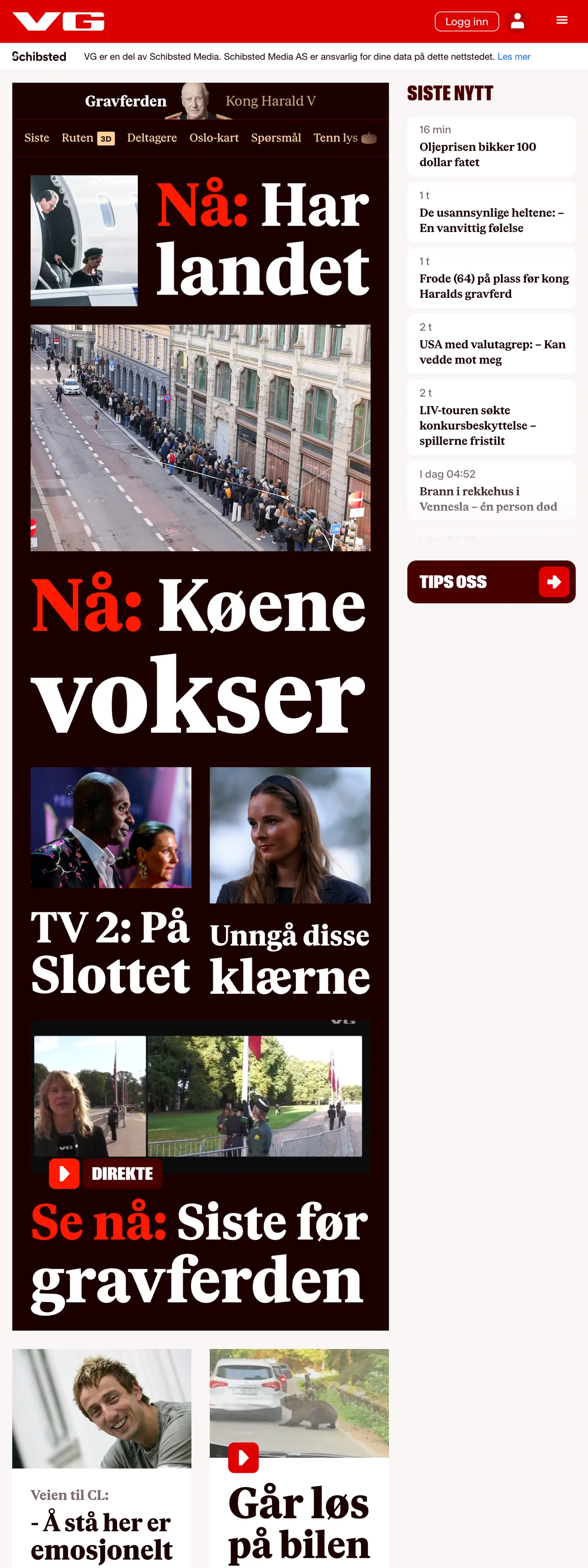 Screenshot of the VG front page