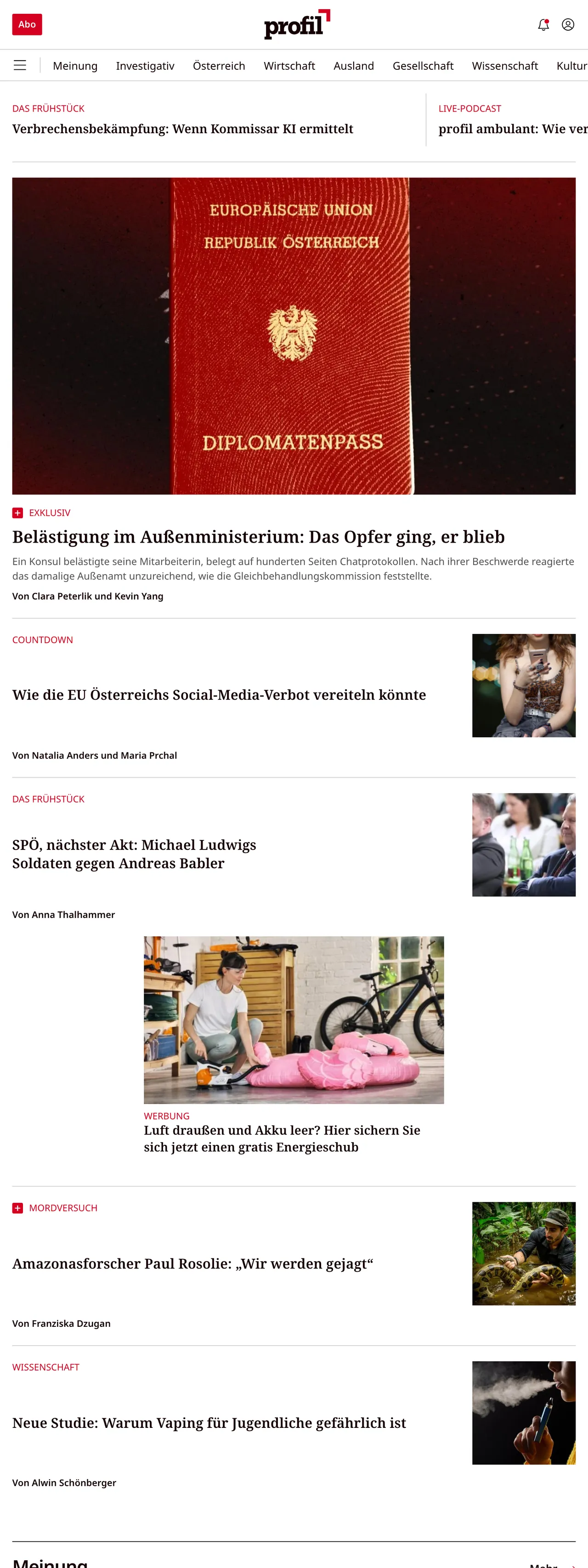 Screenshot of the profil front page