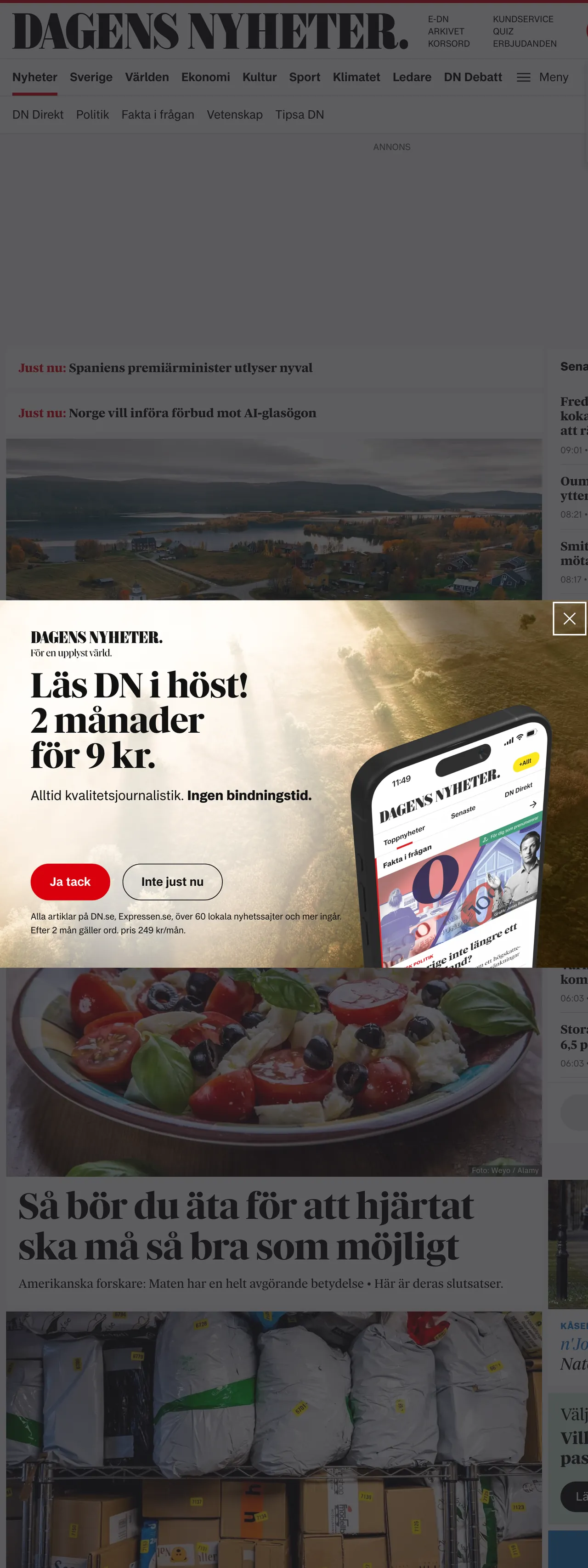 Screenshot of the Dagens Nyheter front page
