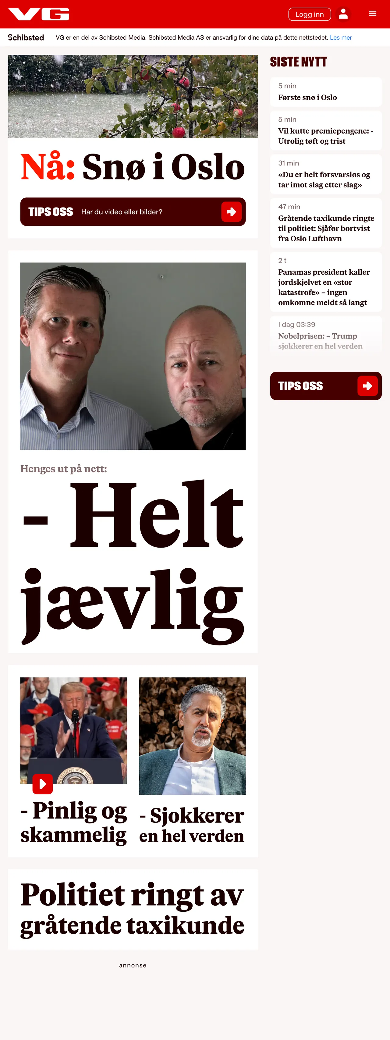 Screenshot of the VG front page