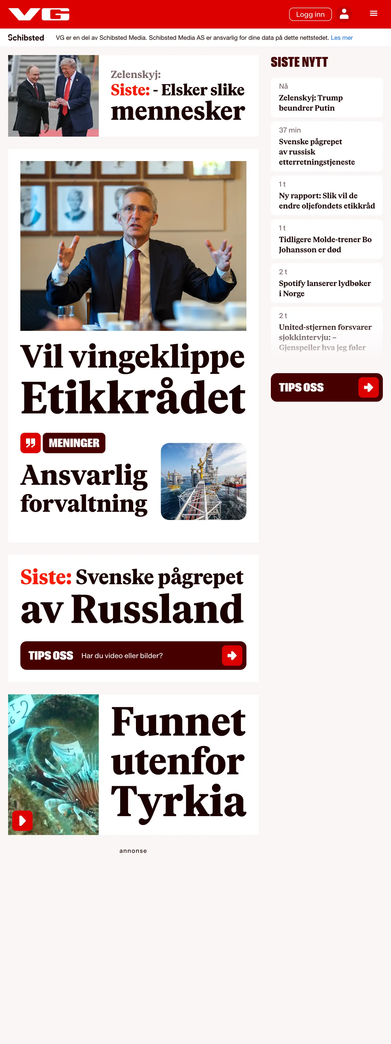 Screenshot of the VG front page